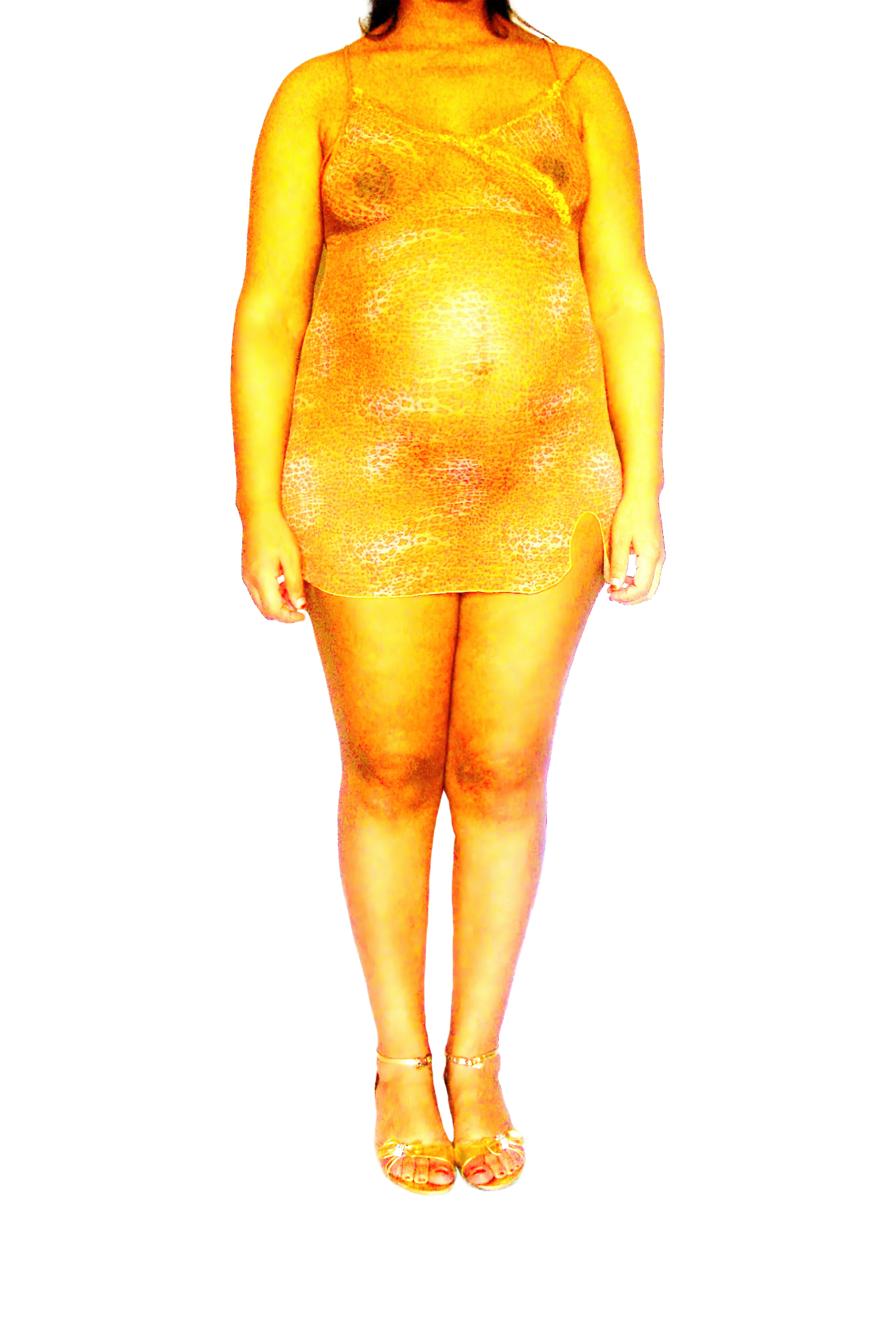 Le Corps Pansant - 2009